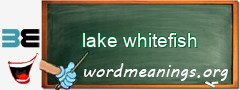 WordMeaning blackboard for lake whitefish